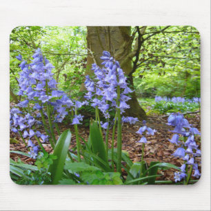 BLUEBELL WOOD ~ Mousepad # 3