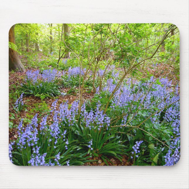 BLUEBELL WOOD ~ Mousepad  # 4 (Front)