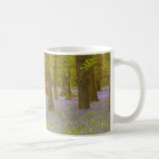Bluebell Wood Mug