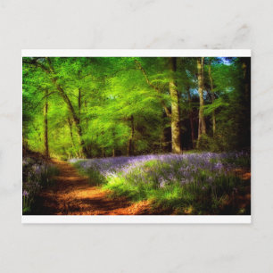 Bluebell wood postcard