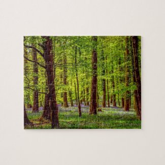 Bluebell Woods Jigsaw Puzzle