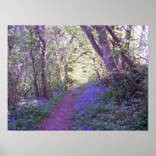 Bluebell Woods Print