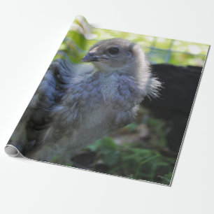 Bluebell Wrapping Paper