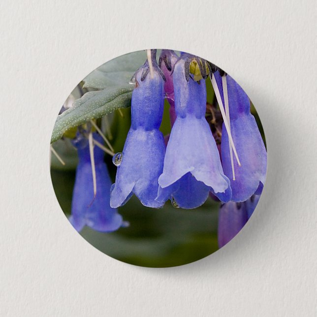 Bluebells 6 Cm Round Badge (Front)