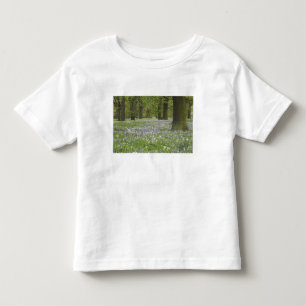 Bluebells and Oak Trees in Spring, Little Hagley Toddler T-Shirt