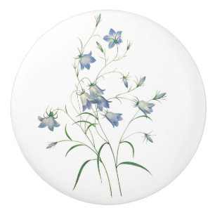 Bluebells by Redoute Botanical Art  Round Knob