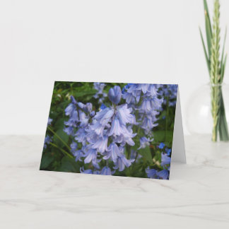 Bluebells Card