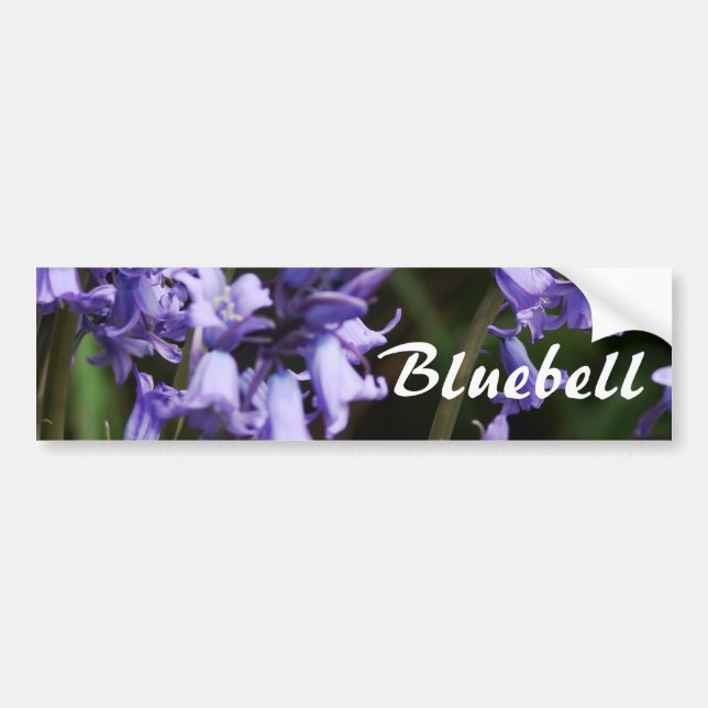 Bluebells Flowers Nature Floral Blue Flower Bumper Sticker (Front)