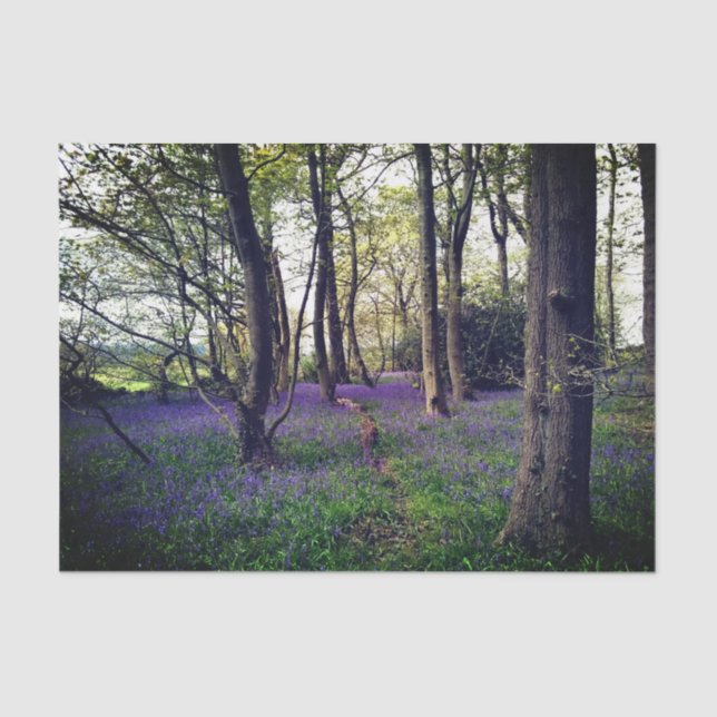 Bluebells forest Floral modern elegant Beautiful  Tissue Paper (Front)