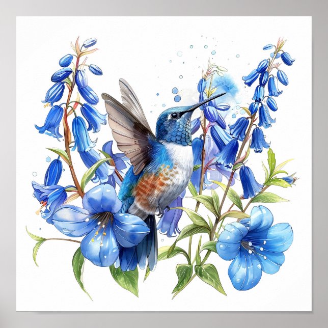 Bluebells Hummingbird Watercolor Print  (Front)
