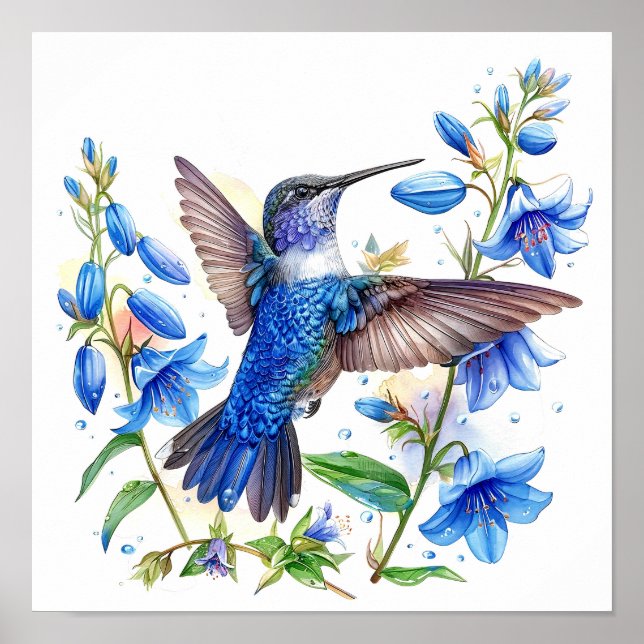 Bluebells Hummingbird Watercolor Print  (Front)