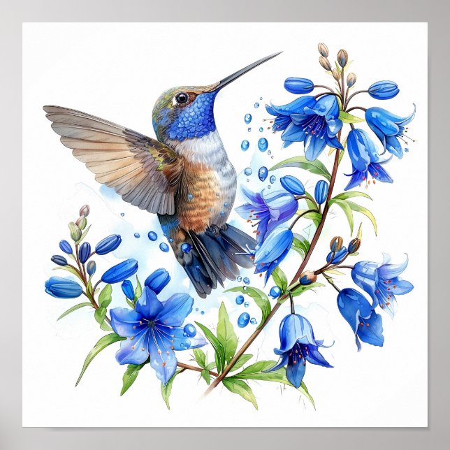 Bluebells Hummingbird Watercolor Print  (Front)