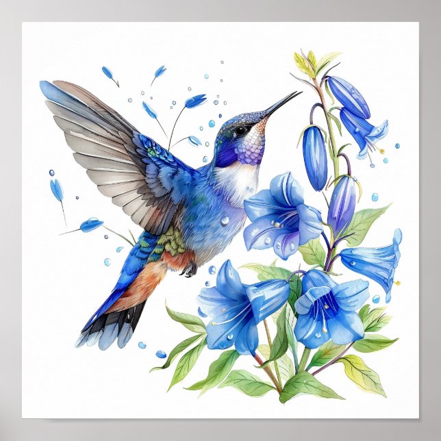 Bluebells Hummingbird Watercolor Print  (Front)
