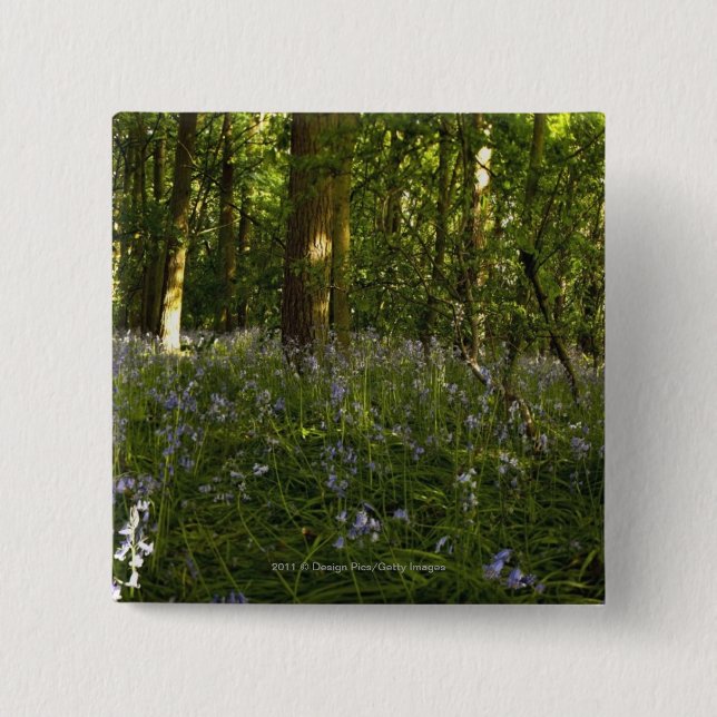 Bluebells In A Forest 15 Cm Square Badge (Front)