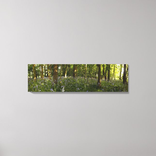 Bluebells In A Forest Canvas Print (Front)