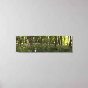 Bluebells In A Forest Canvas Print