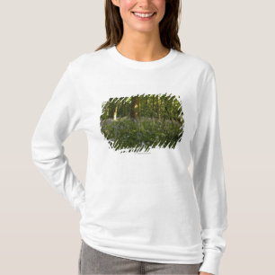 Bluebells In A Forest T-Shirt