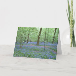Bluebells in a Wood Card