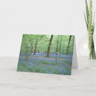 Bluebells in a Wood Card
