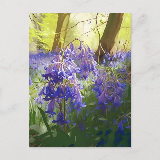Bluebells in the Morning Postcard (Front)