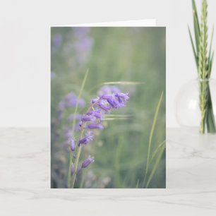Bluebells In The Wind Note  Card
