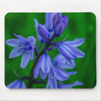 Bluebells Mousemat