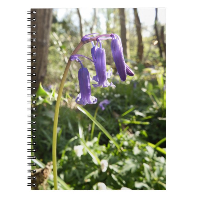 Bluebells Notebook (Front)