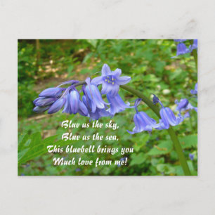 BLUEBELLS ~ Postcard # 3