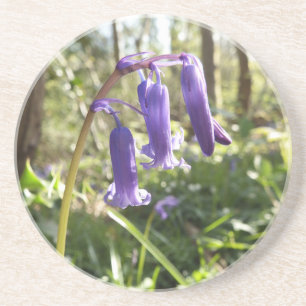 Bluebells Sandstone Coaster