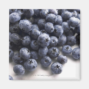 Blueberries 2 magnet