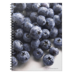 Blueberries 2 notebook