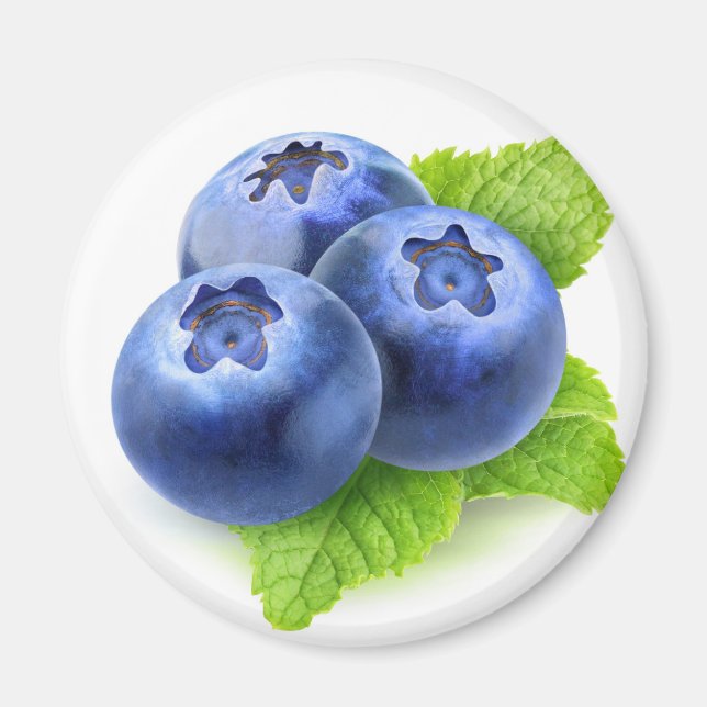 Blueberries and mint magnet (Front)
