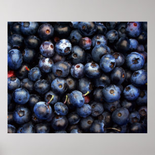 Blueberries Canvas Poster