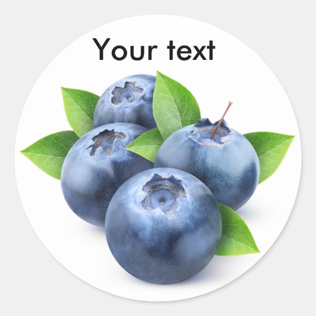 Blueberries Classic Round Sticker (Front)