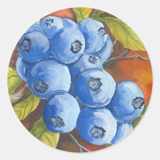 Blueberries Classic Round Sticker (Front)