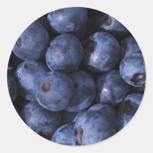 Blueberries! Classic Round Sticker