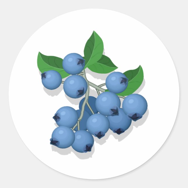 Blueberries Classic Round Sticker (Front)