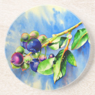 Blueberries Coaster