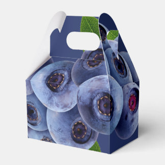 Blueberries Fruit Favour Box