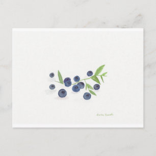 Blueberries fruit kitchen decor postcard