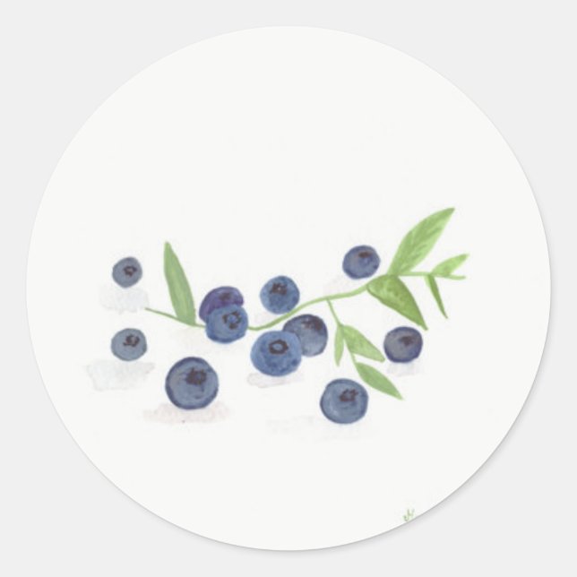 Blueberries fruit kitchen watercolor rustic chic classic round sticker (Front)