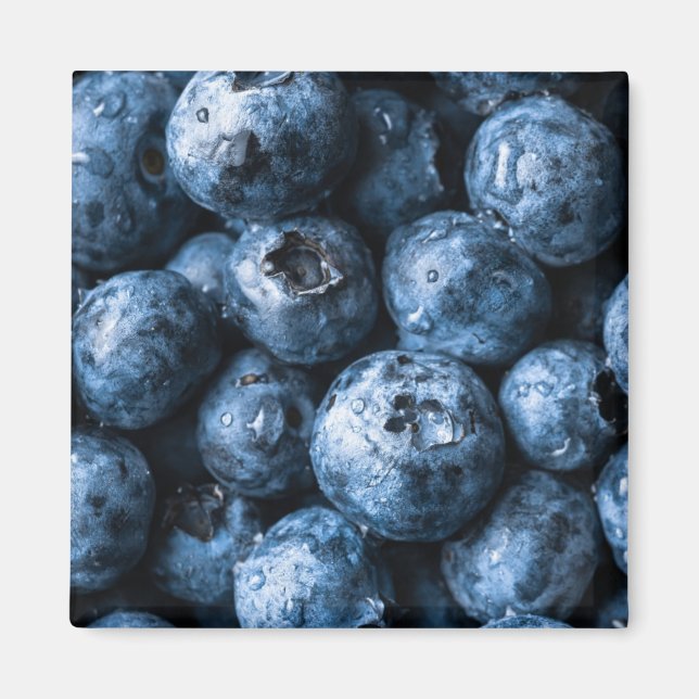 Blueberries Fruit Magnet (Front)