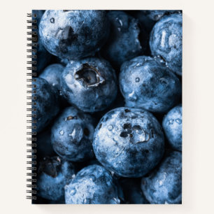 Blueberries Fruit Notebook