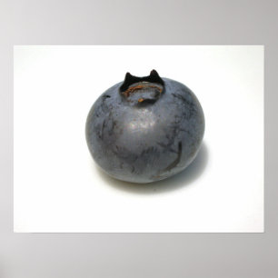 Blueberries I have Known 13 Poster