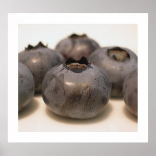 Blueberries I have Known 18 Poster
