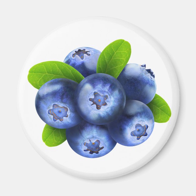 Blueberries Magnet (Front)