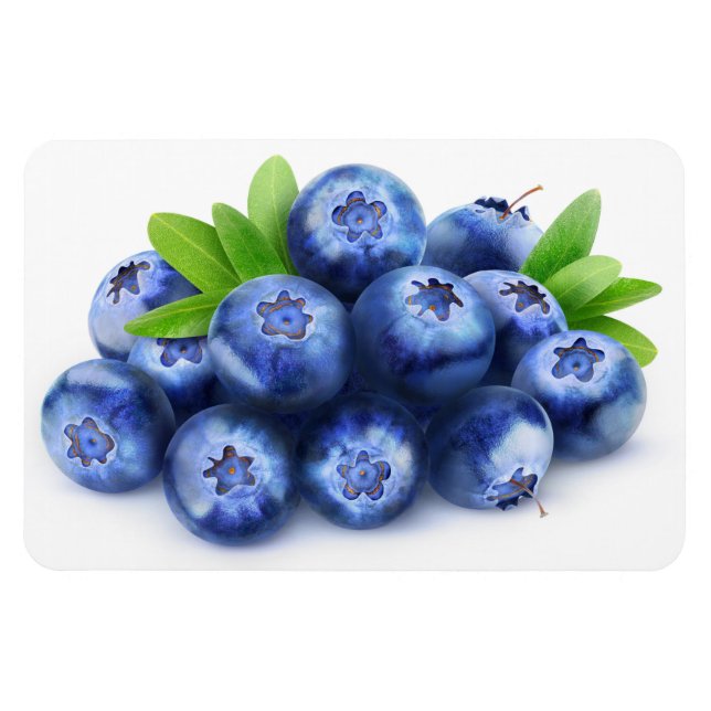 Blueberries Magnet (Horizontal)