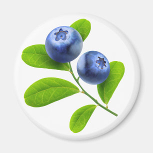 Blueberries Magnet