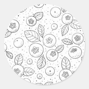 Blueberries on black and white classic round sticker