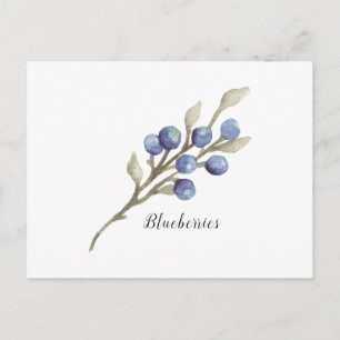 Blueberries on Branch Postcard